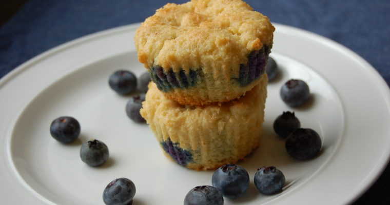 Low Carb Blueberry Muffins (made with stevia and almond flour)